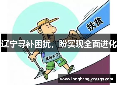 辽宁寻补困扰，盼实现全面进化